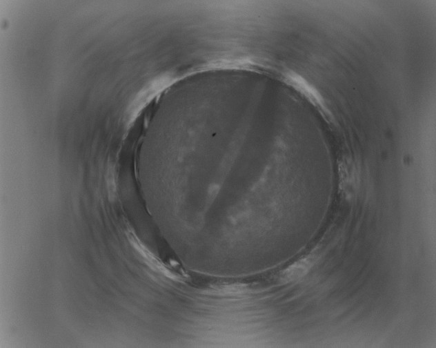 X0000066541260200603311836