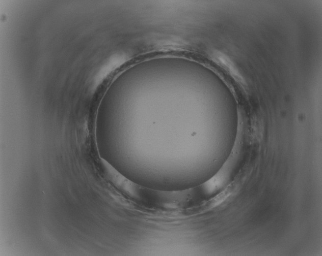 X0000066541261200603311836