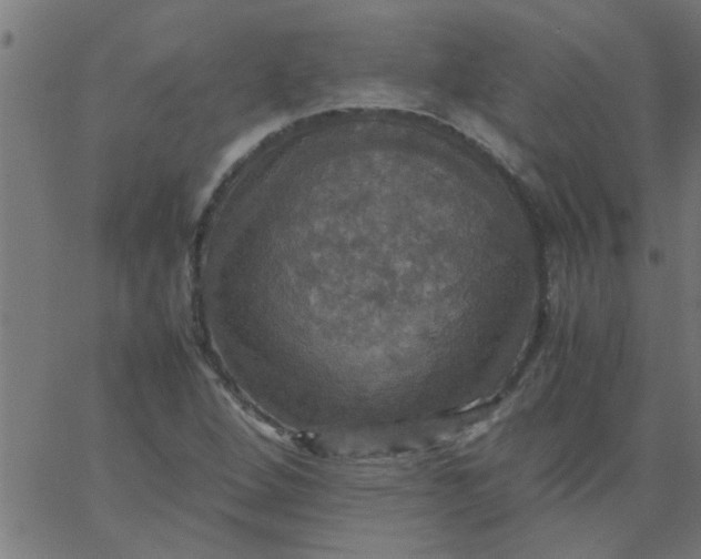 X0000066541264200603311836