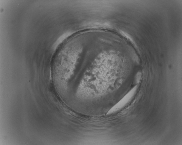 X0000066541267200603311836