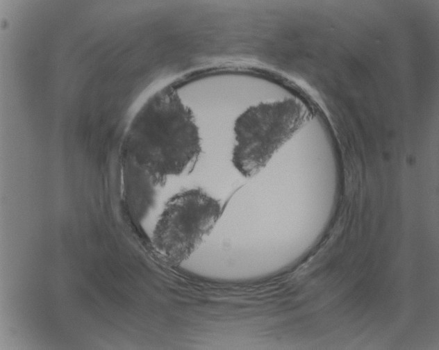 X0000066541271200603311836