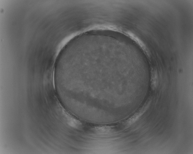 X0000066541272200603311836