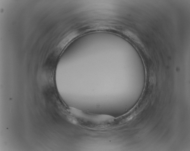 X0000066541273200603311836