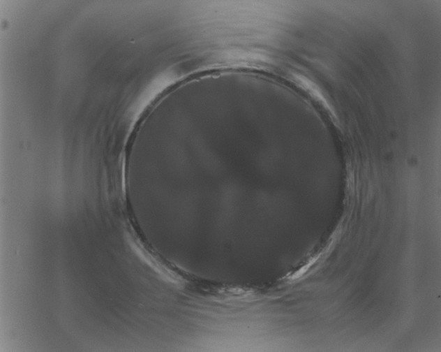 X0000066541275200603311836