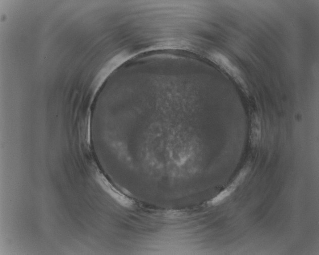 X0000066541276200603311836