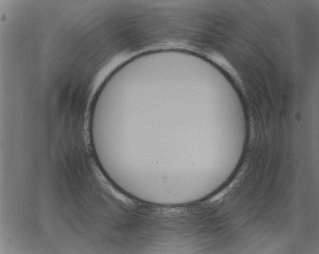 X0000066541278200603311836