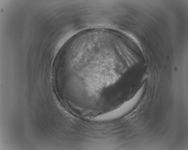 X0000066541279200603311836