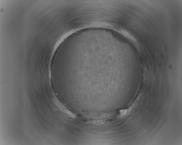 X0000066541280200603311836