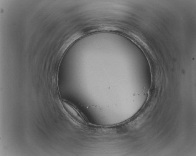 X0000066541281200603311836