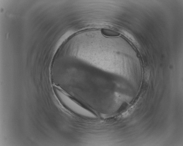 X0000066541283200603311836