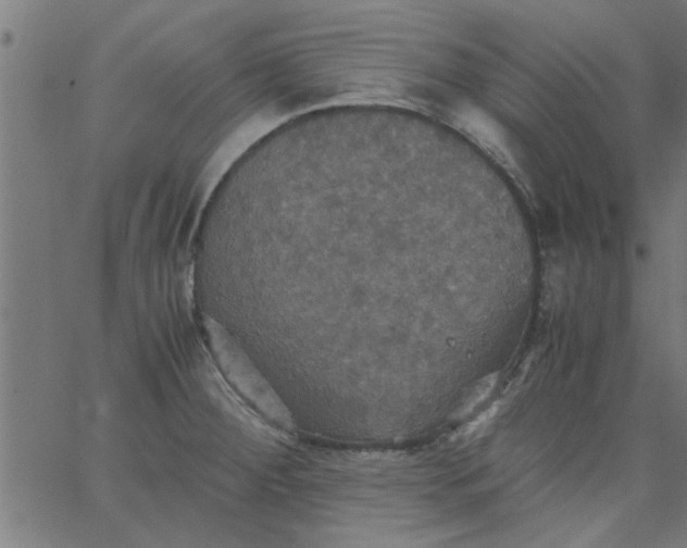 X0000066541284200603311836