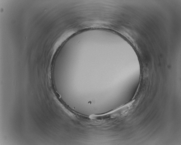 X0000066541285200603311836