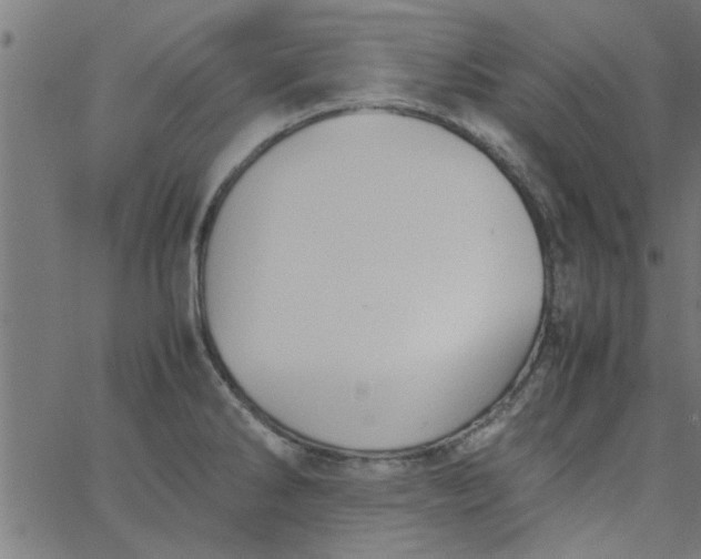 X0000066541286200603311836