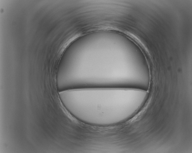 X0000066541289200603311836