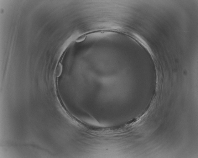 X0000066541291200603311836