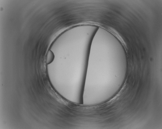 X0000066541292200603311836