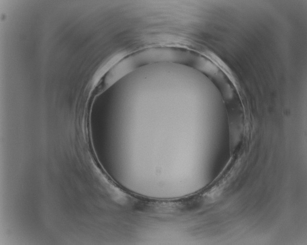 X0000066541293200603311835