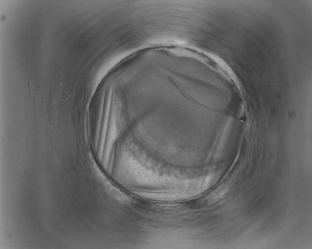 X0000066541295200603311835