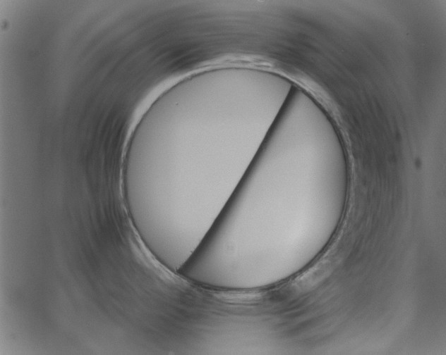 X0000066541296200603311835