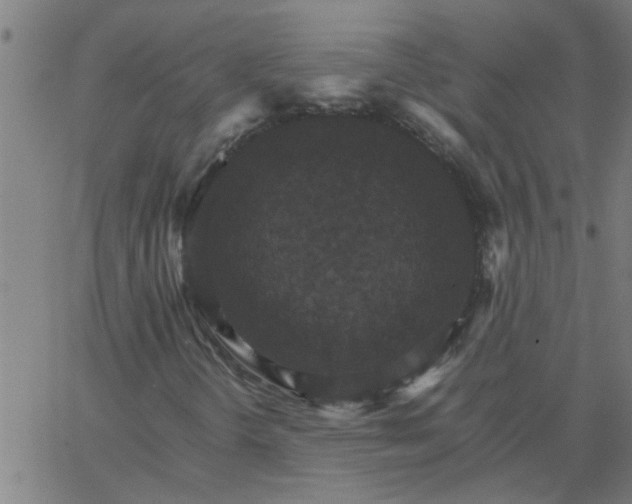 X0000066541298200603311835