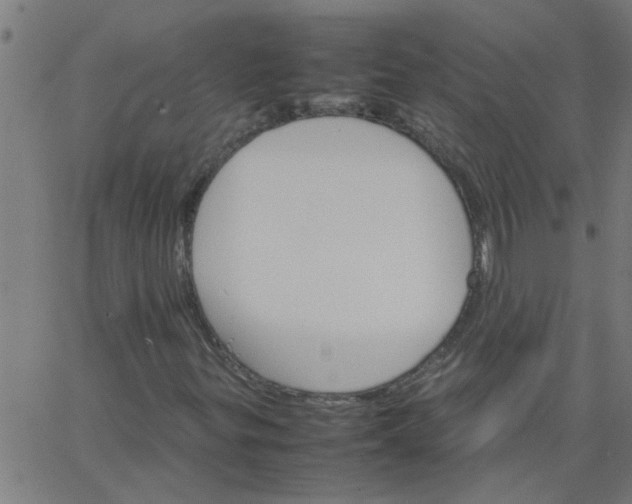 X0000066541299200603311835