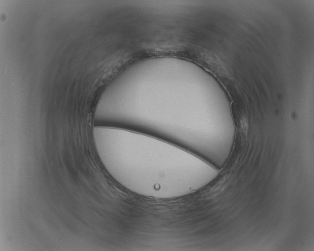 X0000066541300200603311835