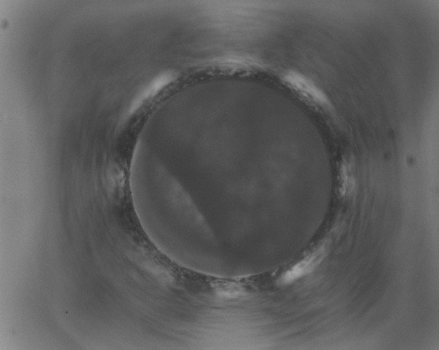 X0000066541302200603311835