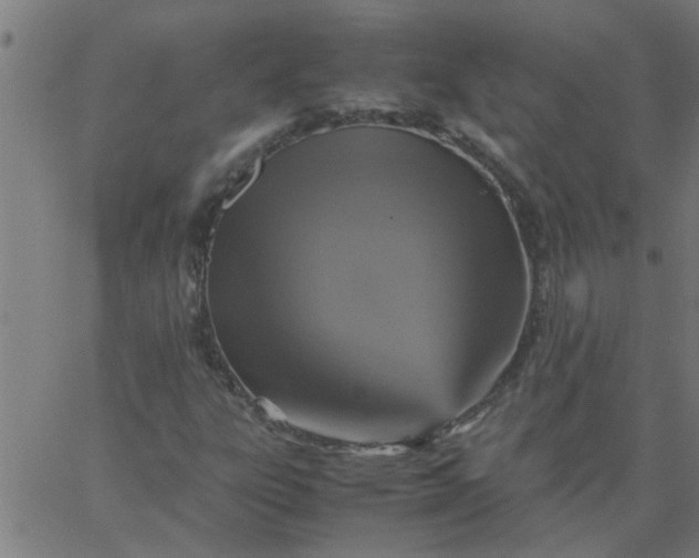 X0000066541303200603311835