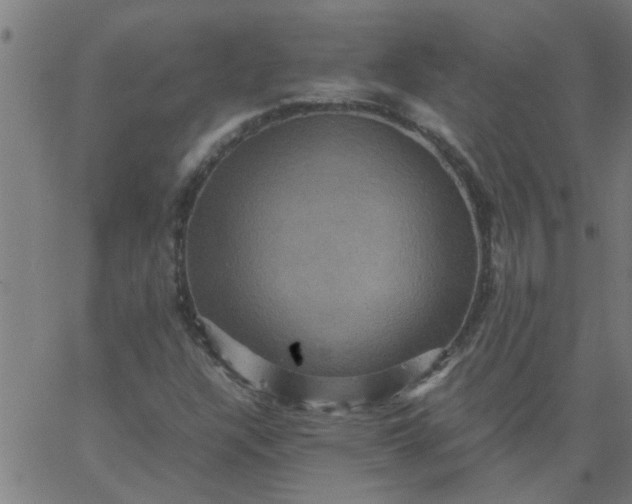 X0000066541304200603311835