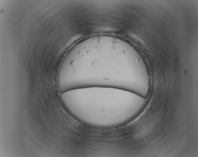 X0000066541305200603311835