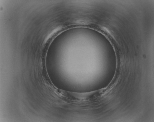 X0000066541307200603311835