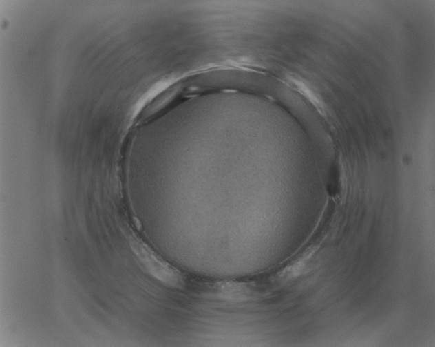 X0000066541308200603311835