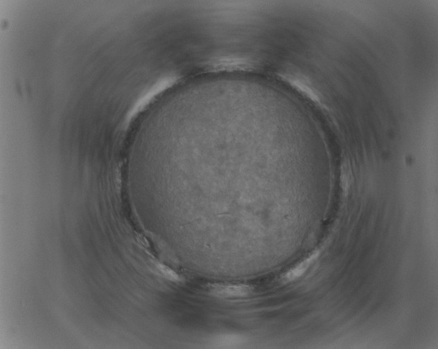 X0000066541309200603311835