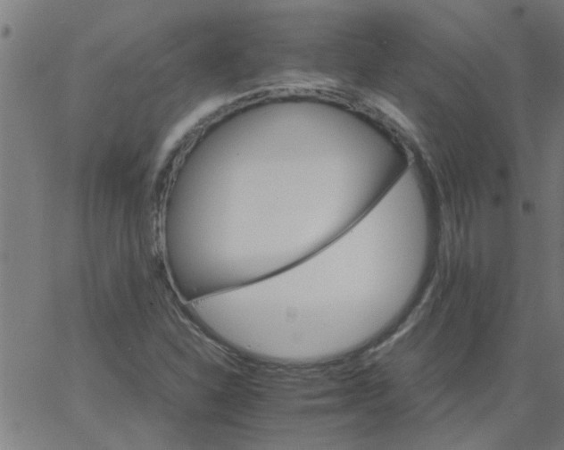 X0000066541310200603311835