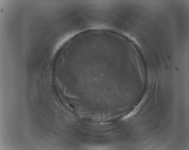 X0000066541311200603311835