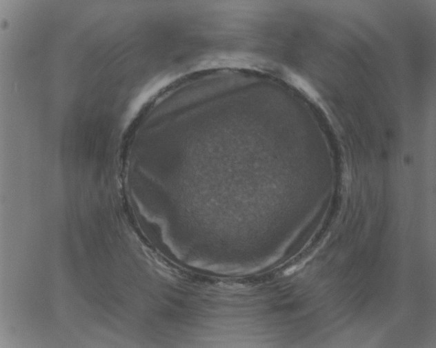 X0000066541312200603311835