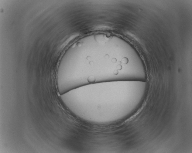 X0000066541313200603311835