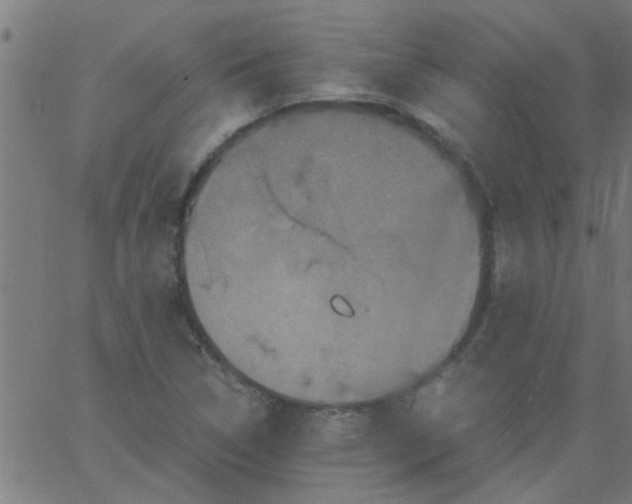 X0000066541314200603311835