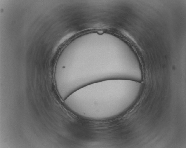 X0000066541315200603311835