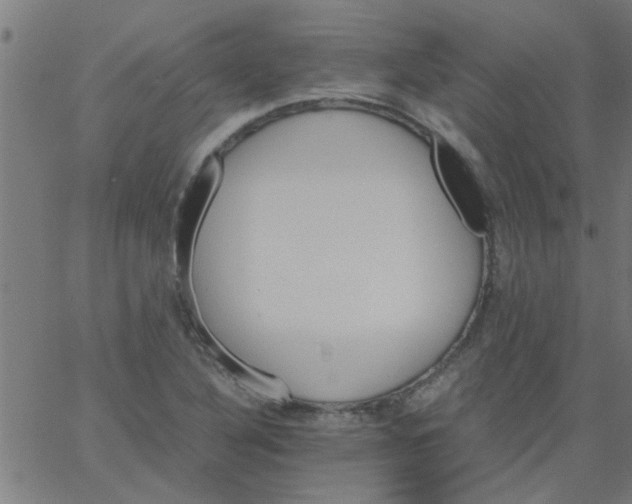 X0000066541316200603311835