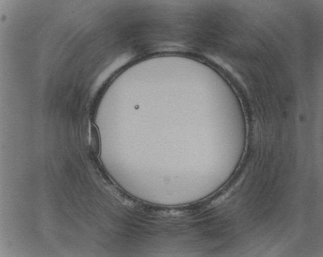 X0000066541317200603311835