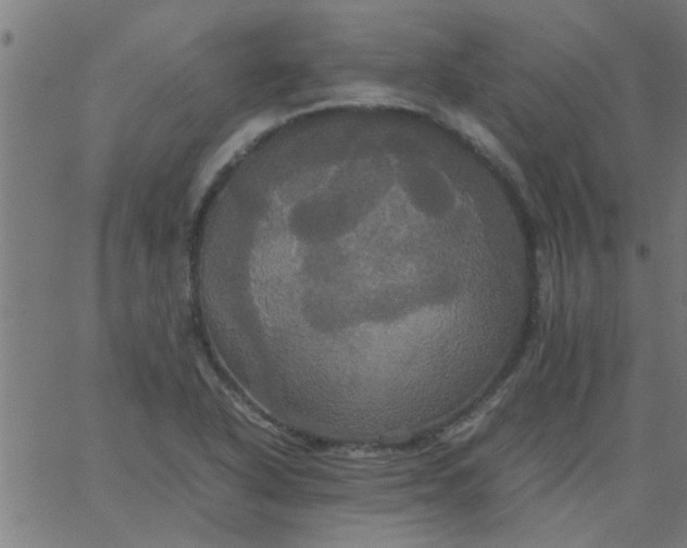 X0000066541318200603311835