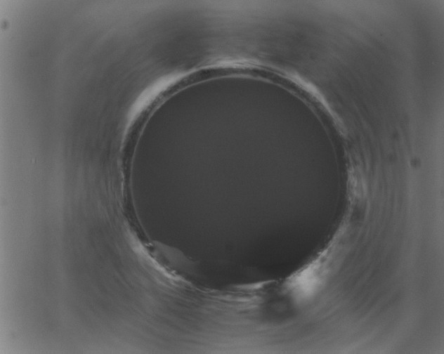 X0000066541319200603311835