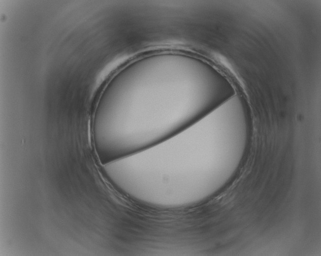 X0000066541320200603311835