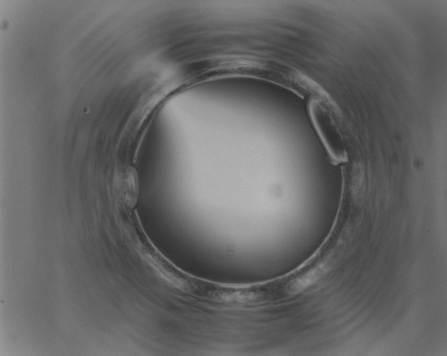 X0000066541321200603311835