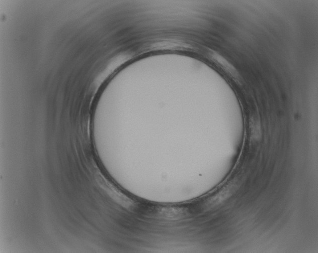 X0000066541322200603311835