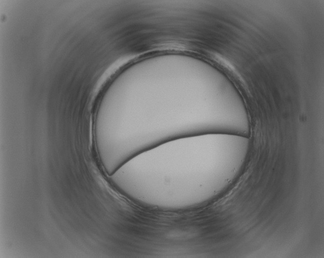 X0000066541323200603311835