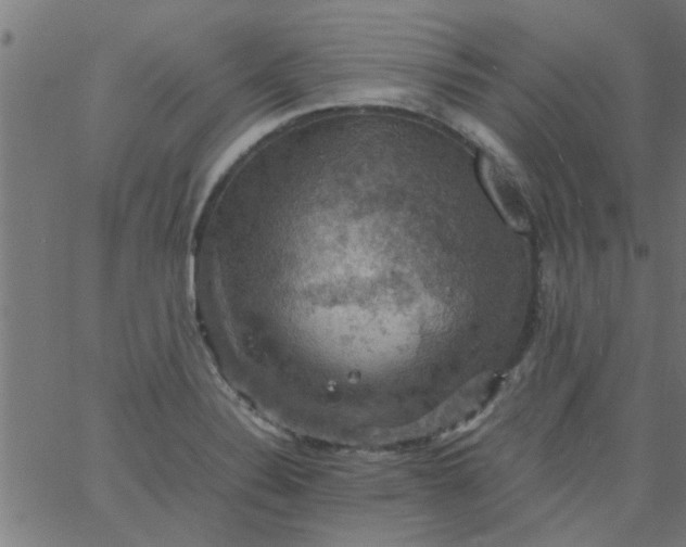 X0000066541324200603311835