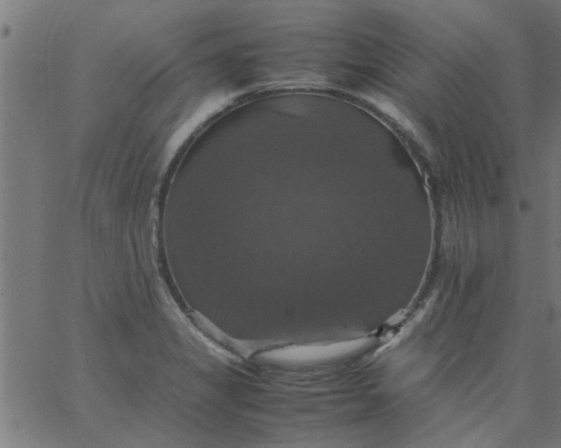 X0000066541325200603311835