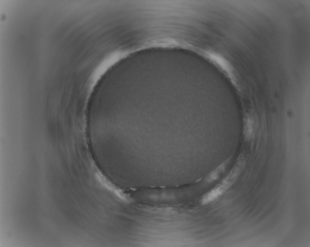 X0000066541326200603311835